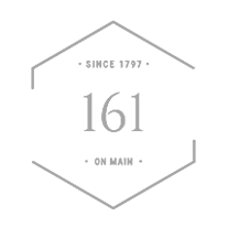 161 on main Logo | CCTV Technologies | Faircape Group