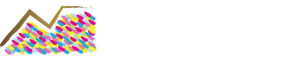 Faicape Security Solutions Logo